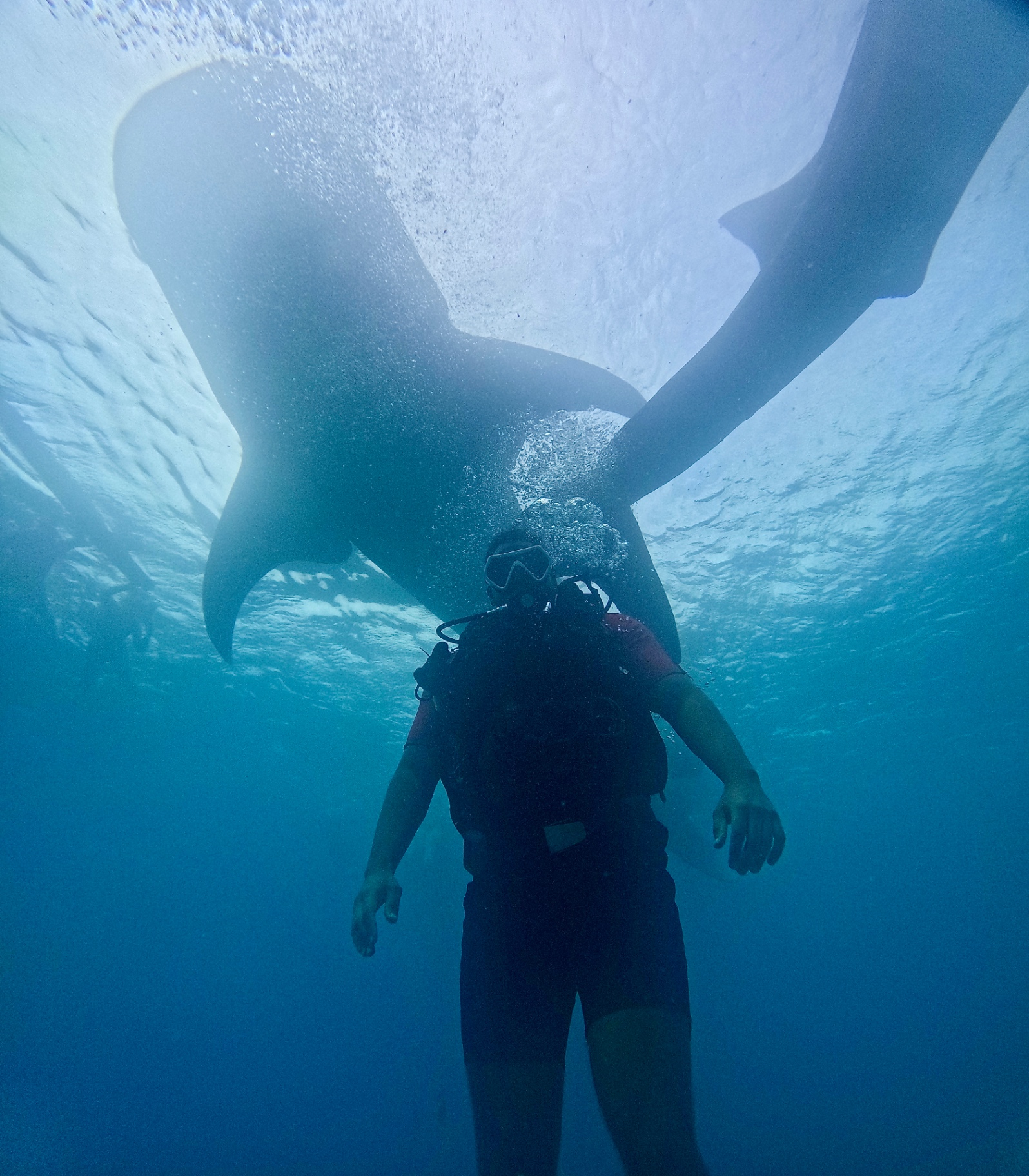Reef descent